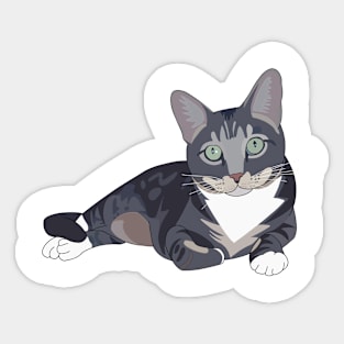 Gray tabby cat Sticker